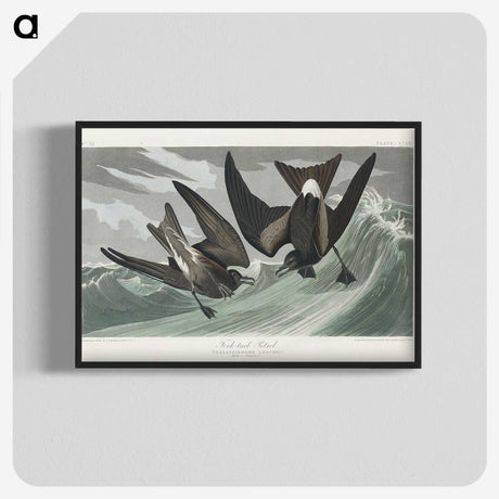 2-47_John-James-Audubon_blk-crop