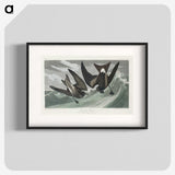2-47_John-James-Audubon_blk