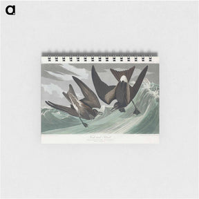 アートメモ帳-Fork-tailed Petrel
 - ジョン ジェームス オーデュボン Memo.