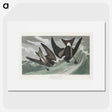 2-47_John-James-Audubon_picture