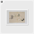 アートポストカード-Chō senshu (A Thousand Kinds of Butterflies), Volume 2 - 神坂 雪佳 Postcard.