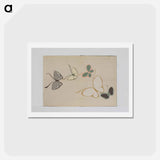 アートポストカード-Chō senshu (A Thousand Kinds of Butterflies), Volume 2 - 神坂 雪佳 Postcard.
