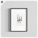 2-47_Les-Palmiers-Histoire-Iconographique_blk