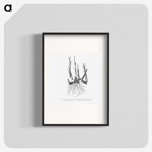 2-47_Les-Palmiers-Histoire-Iconographique_blk