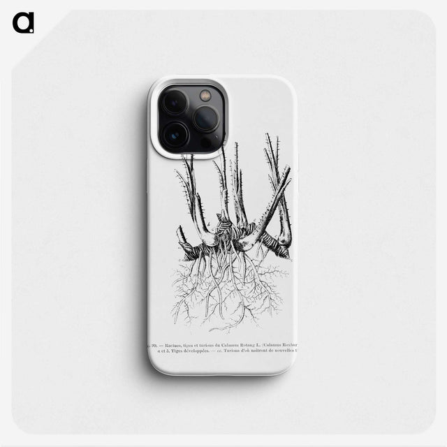 2-47_Les-Palmiers-Histoire-Iconographique_phone