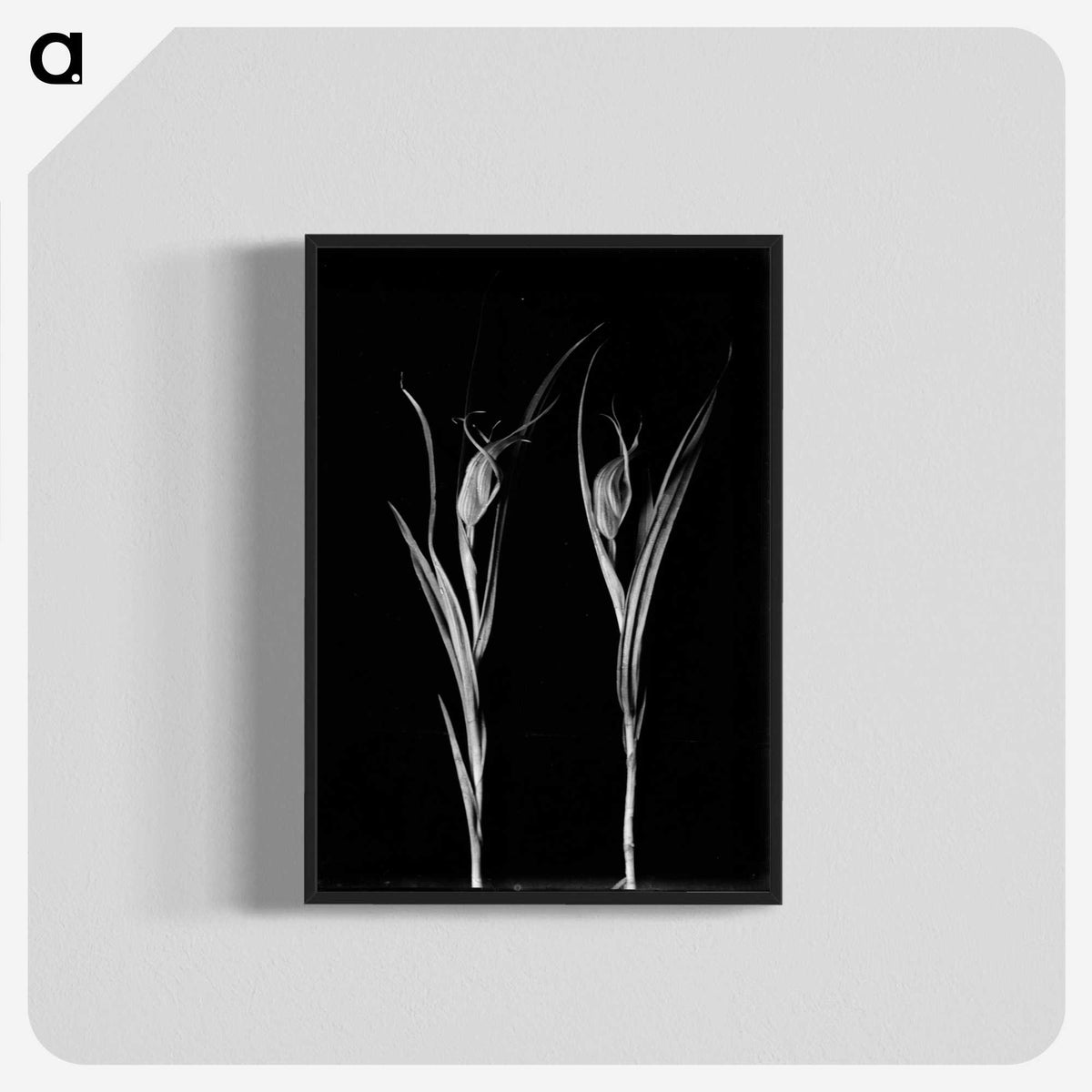 2-47_Leslie-Adkin_blk-crop