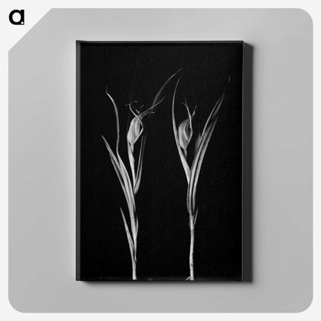 2-47_Leslie-Adkin_canvas