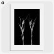 2-47_Leslie-Adkin_picture