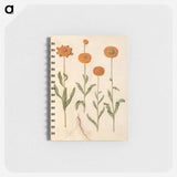 アートメモ帳-Calendula officinalis
 - マリア ジビーラ メーリアン Memo.