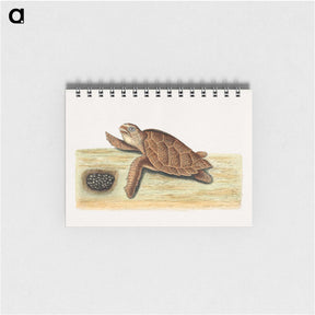 2-47_Mark-Catesby_memo