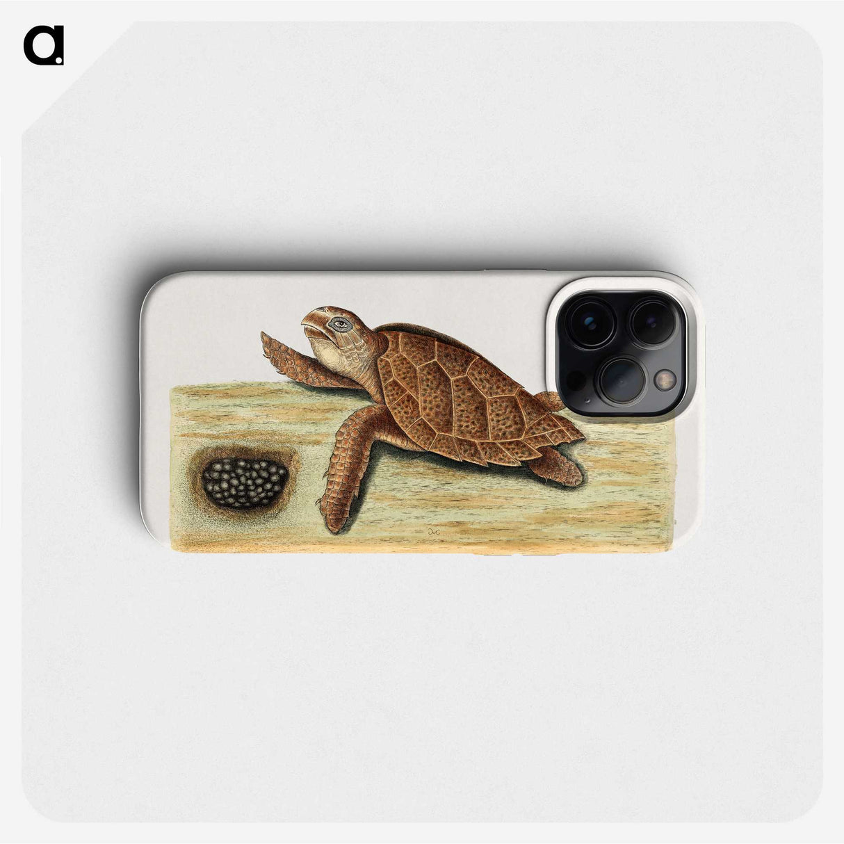 2-47_Mark-Catesby_phone