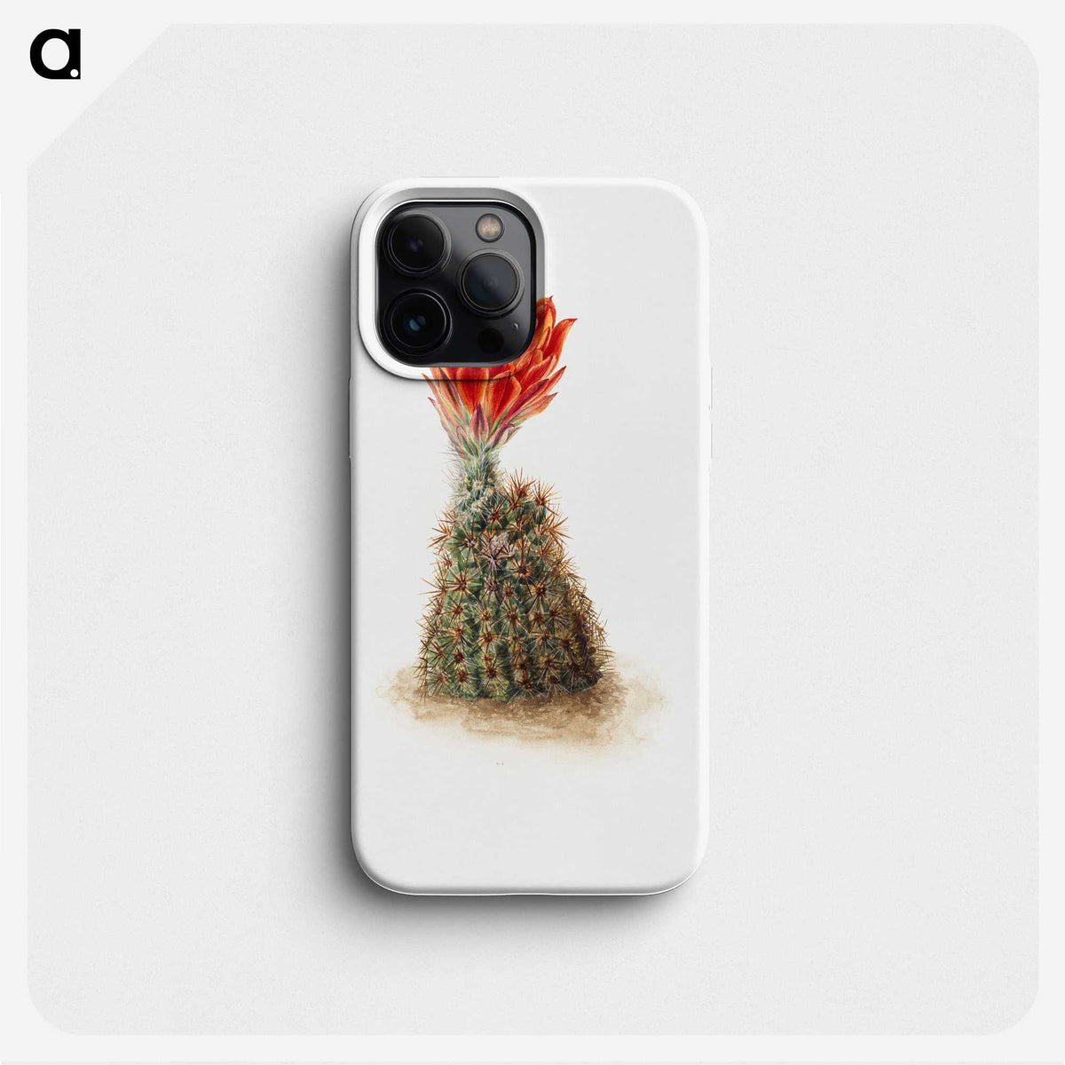 2-47_Mary-Vaux-Walcott_phone