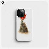 2-47_Mary-Vaux-Walcott_phone