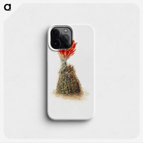 2-47_Mary-Vaux-Walcott_phone