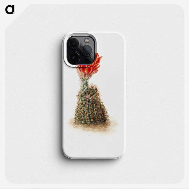2-47_Mary-Vaux-Walcott_phone
