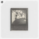 2-47_Odilon-Redon_memo