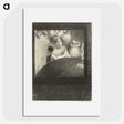 2-47_Odilon-Redon_picture