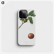 2-47_Pomona-Italiana_phone