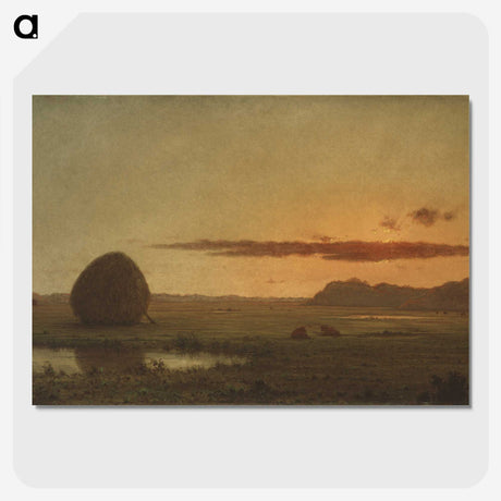 2-47_Saint-Louis-Art-Museum_picture-crop