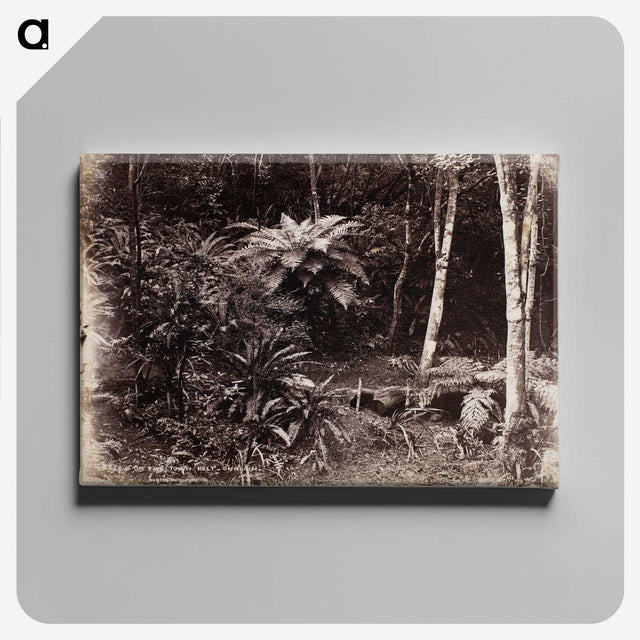 2-47_The-Burton-Brothers_canvas