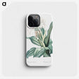 2-47_The-Lilies_phone