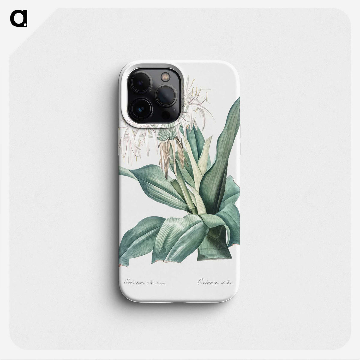 2-47_The-Lilies_phone
