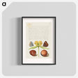 アートポスター-Moths, Jerusalem Sage, and Beans from Mira Calligraphiae Monumenta
 - 書道のお手本 Poster.