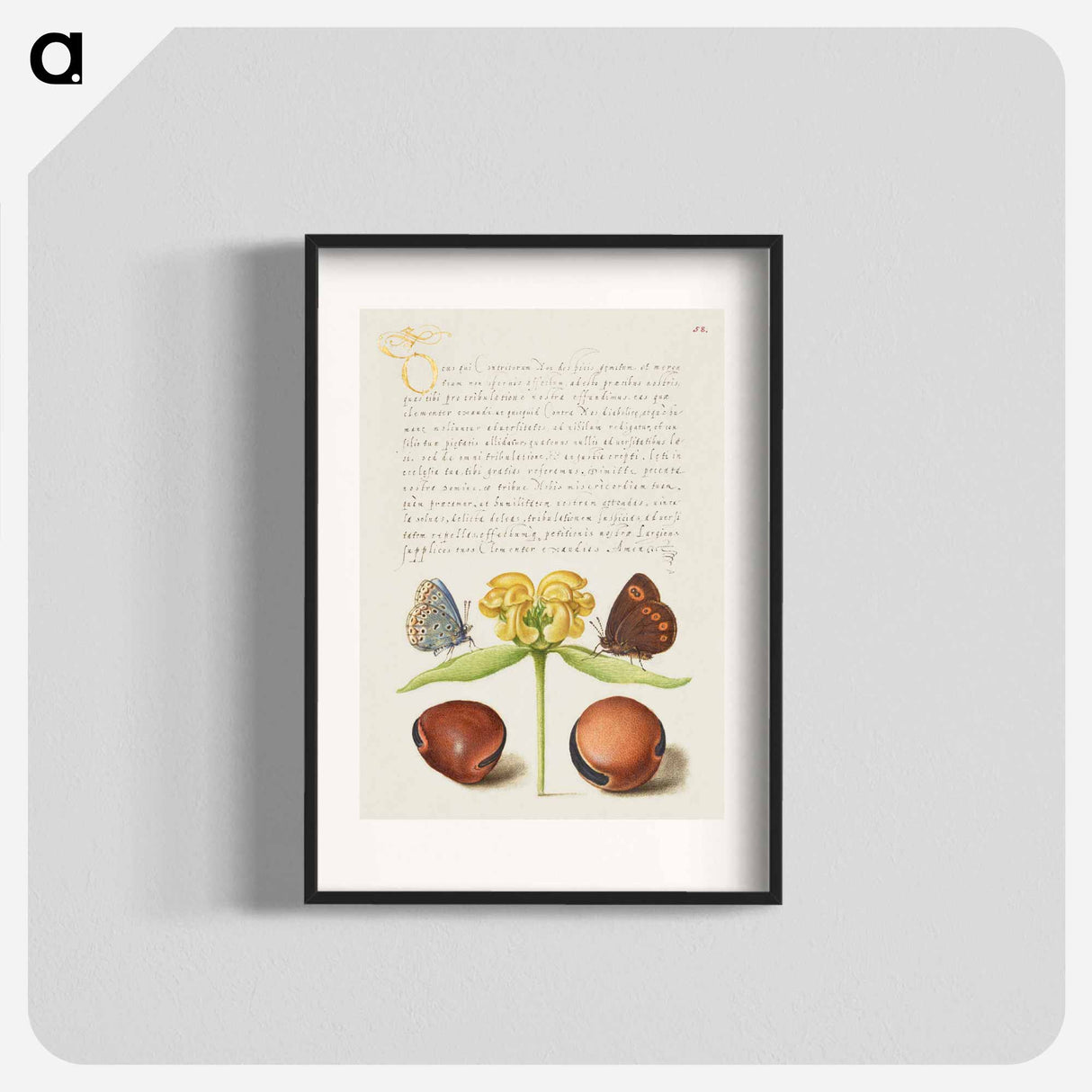 アートポスター-Moths, Jerusalem Sage, and Beans from Mira Calligraphiae Monumenta
 - 書道のお手本 Poster.