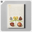 アートパネル-Moths, Jerusalem Sage, and Beans from Mira Calligraphiae Monumenta
 - 書道のお手本 Canvas.