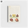 アートメモ帳-Moths, Jerusalem Sage, and Beans from Mira Calligraphiae Monumenta
 - 書道のお手本 Memo.