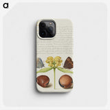 2-47_The-Model-Book-of-Calligraphy_phone