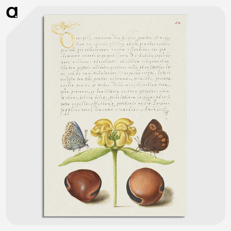 2-47_The-Model-Book-of-Calligraphy_picture-crop