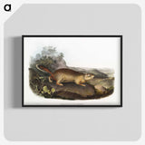 2-47_The-Viviparous-Quadrupeds_blk-crop
