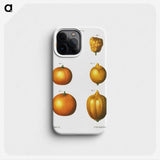 2-47_Treatise-on-Trees-and-Shrubs_phone