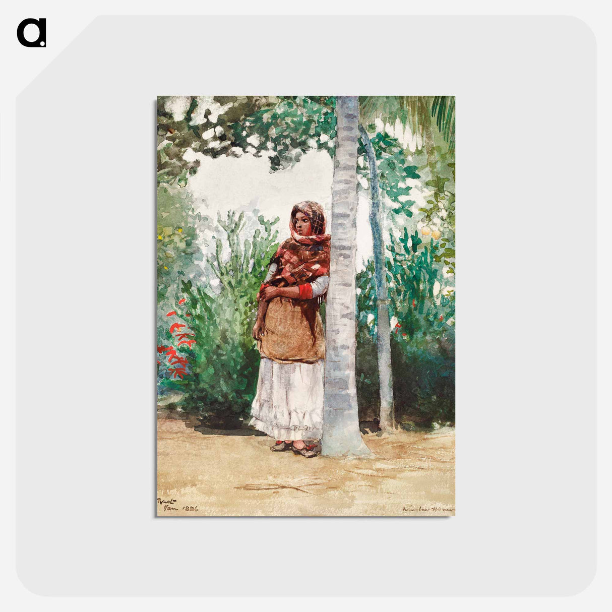 アートポストカード-Under a Palm Tree - ウィンスロー ホーマー Postcard.