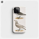 American Gull (Larus zonorhyncus) Winter Gull (Larus argentatus) illustration from Zoology of New York by - ニューヨークの動物学 Phone Case.