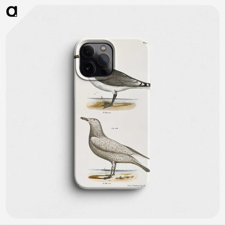 2-47_Zoology-of-New-York_phone