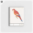 2-48_Anselmus-Boetius-de-Boodt_memo