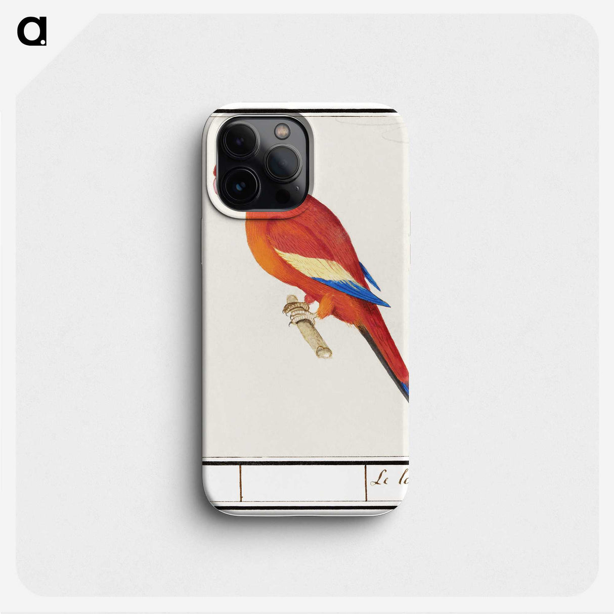2-48_Anselmus-Boetius-de-Boodt_phone