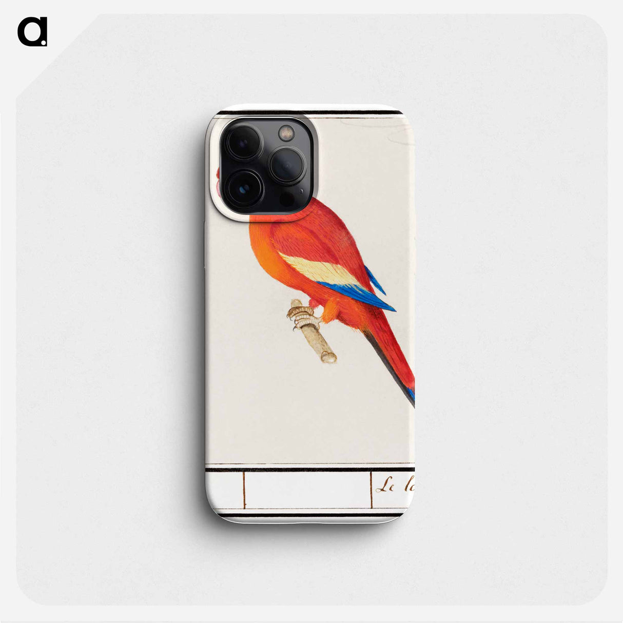 Red parrot - アンセルムス ボエティウス デ ブート Phone Case.