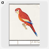 2-48_Anselmus-Boetius-de-Boodt_picture-crop