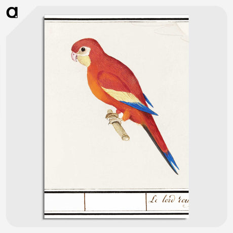 2-48_Anselmus-Boetius-de-Boodt_picture-crop