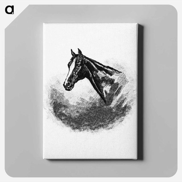 アートパネル-Victorian Horse Head
 - 大英図書館 Canvas.