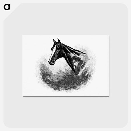 アートポストカード-Victorian Horse Head
 - 大英図書館 Postcard.