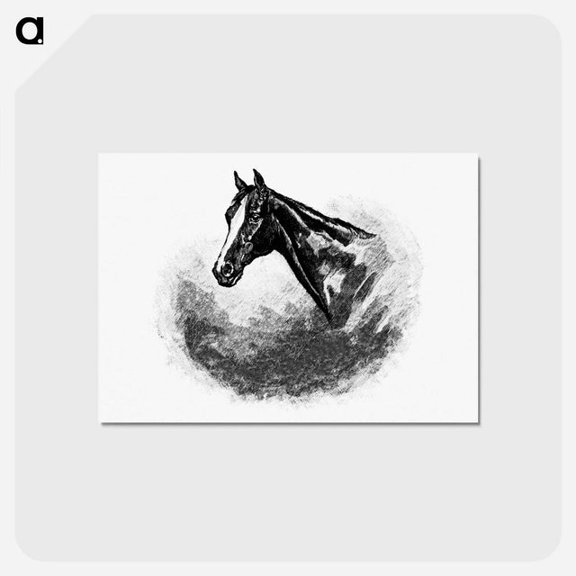 アートポストカード-Victorian Horse Head
 - 大英図書館 Postcard.