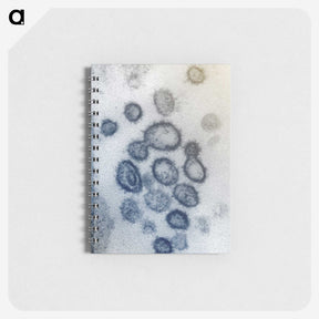 2-48_COVID-19_memo