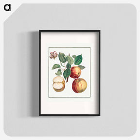 アートポスター-Apple with Leaf and Fruit Blossom
 - クリーブランド美術館 Poster.