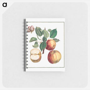 アートメモ帳-Apple with Leaf and Fruit Blossom
 - クリーブランド美術館 Memo.