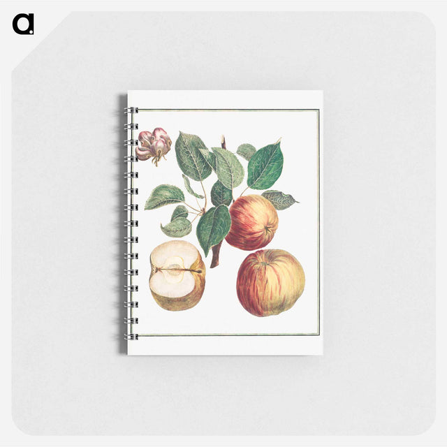 アートメモ帳-Apple with Leaf and Fruit Blossom
 - クリーブランド美術館 Memo.