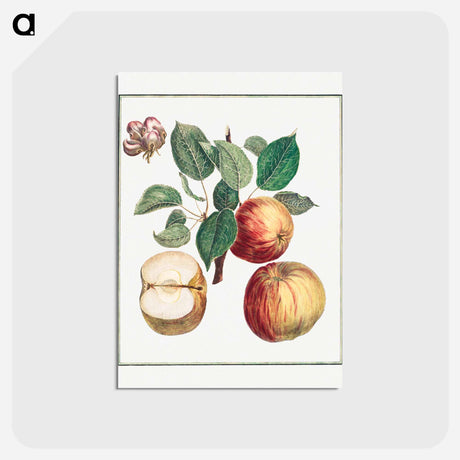 アートポストカード-Apple with Leaf and Fruit Blossom
 - クリーブランド美術館 Postcard.
